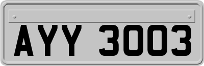 AYY3003