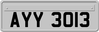 AYY3013