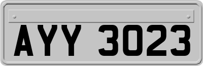 AYY3023