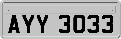 AYY3033