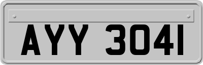 AYY3041