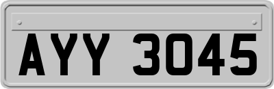 AYY3045