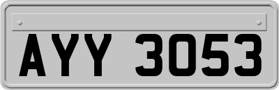 AYY3053