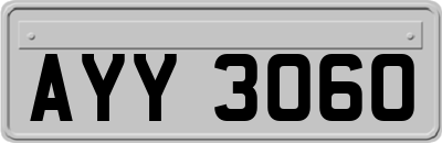 AYY3060