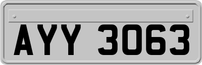 AYY3063