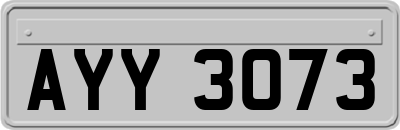 AYY3073