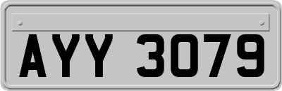 AYY3079