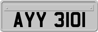 AYY3101