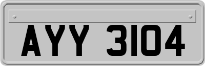 AYY3104