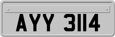 AYY3114