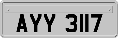 AYY3117