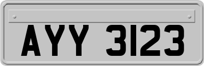 AYY3123