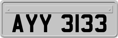 AYY3133