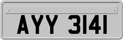 AYY3141