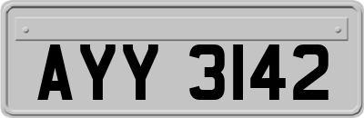 AYY3142
