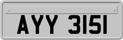 AYY3151