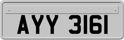 AYY3161