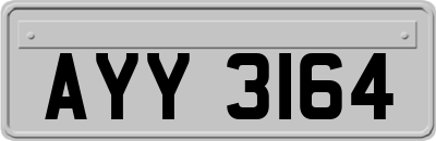 AYY3164
