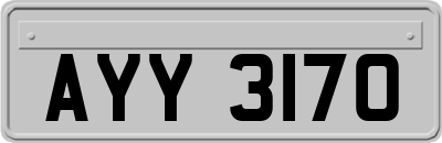 AYY3170