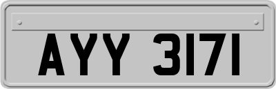 AYY3171
