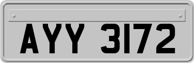 AYY3172