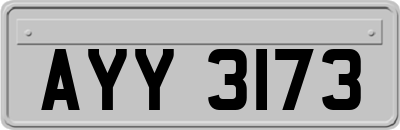 AYY3173