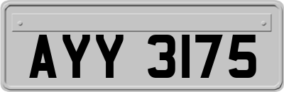 AYY3175
