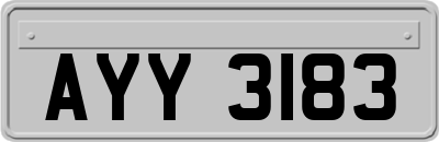 AYY3183