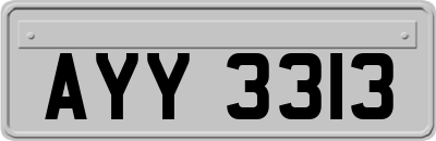 AYY3313