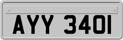 AYY3401
