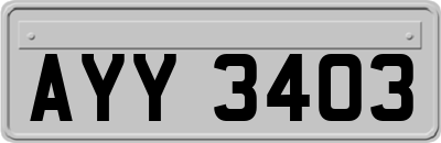 AYY3403