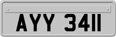 AYY3411