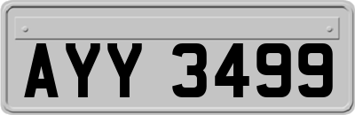AYY3499