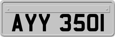 AYY3501