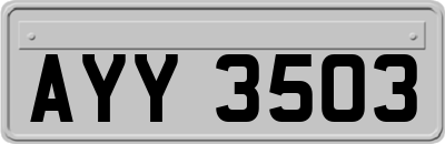 AYY3503
