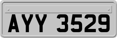 AYY3529