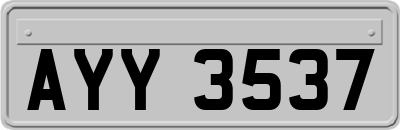 AYY3537