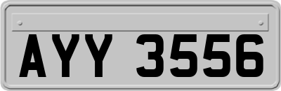 AYY3556