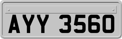 AYY3560