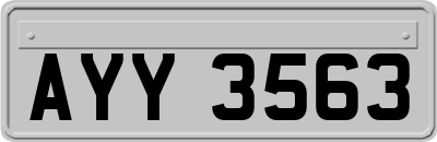 AYY3563