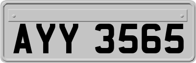 AYY3565