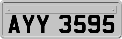 AYY3595
