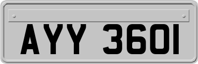 AYY3601