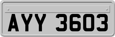 AYY3603