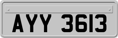 AYY3613
