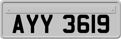AYY3619