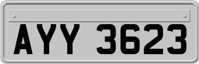 AYY3623