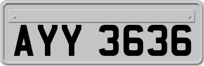 AYY3636