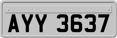 AYY3637