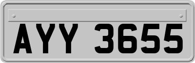 AYY3655